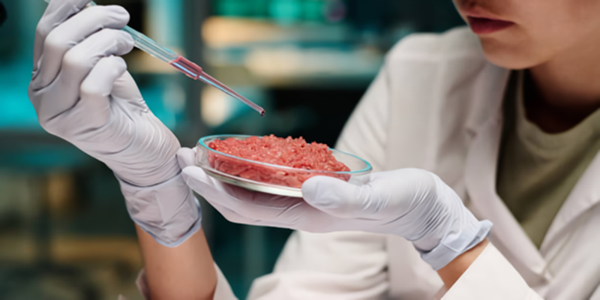 Lab-Grown Meat: The Future Of Ethical Protein Consumption